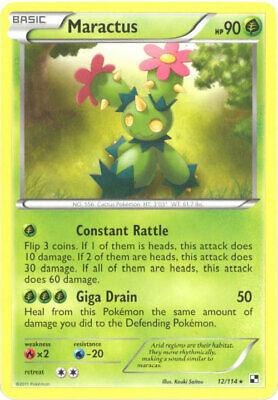 Maractus