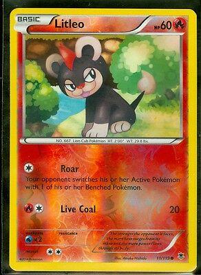 Litleo
