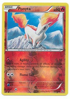 Ponyta