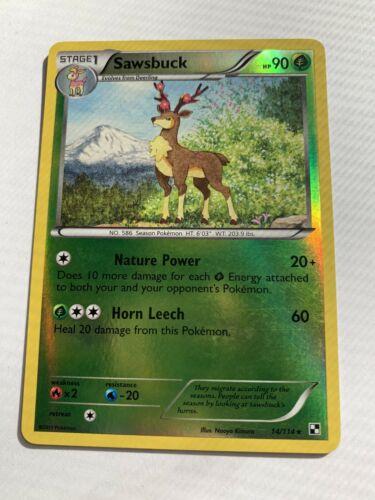Sawsbuck