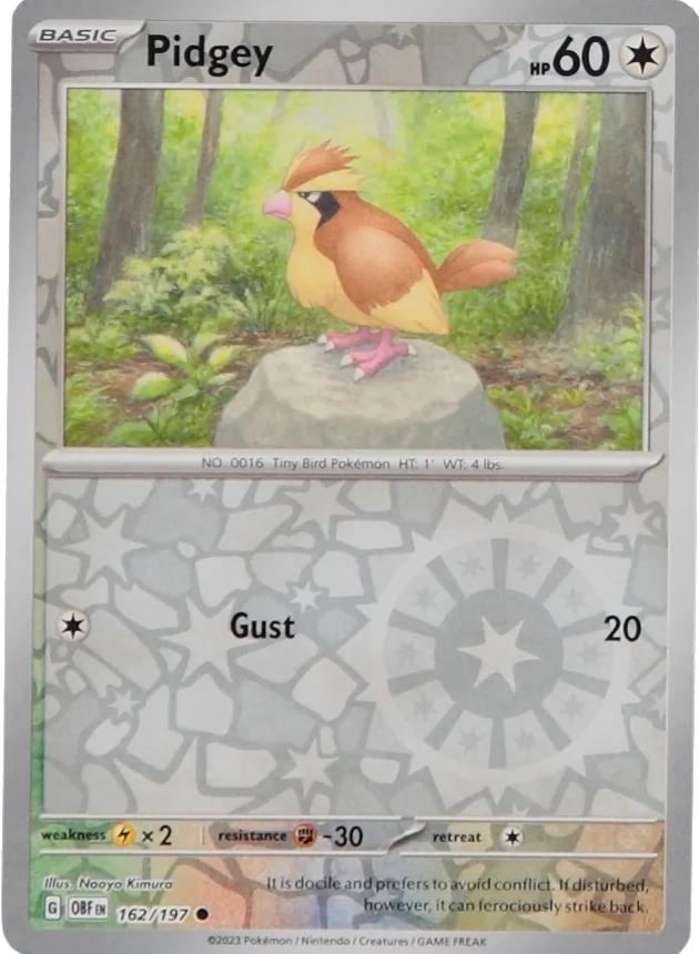 Pidgey