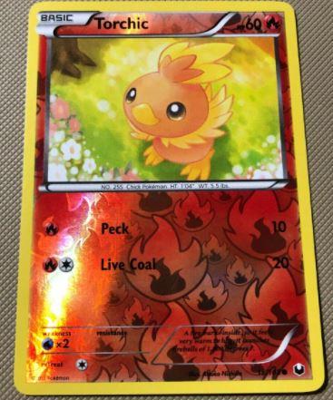 Torchic