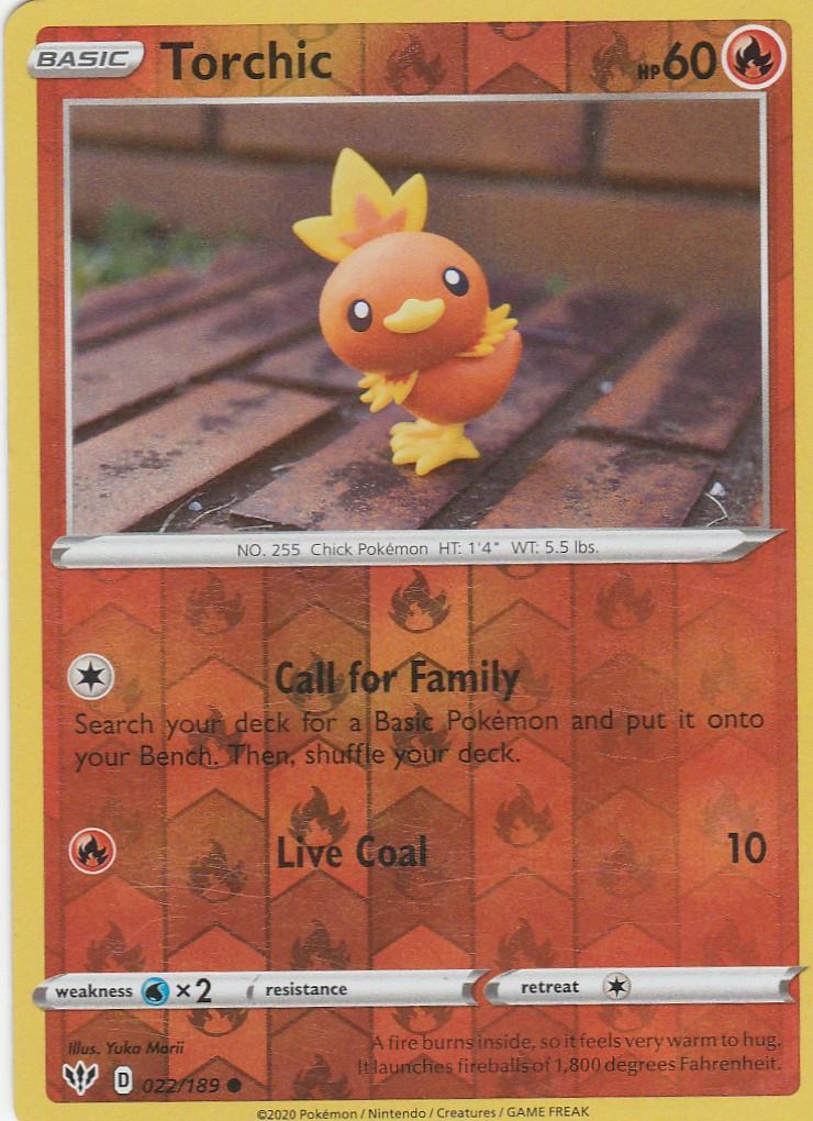 Torchic