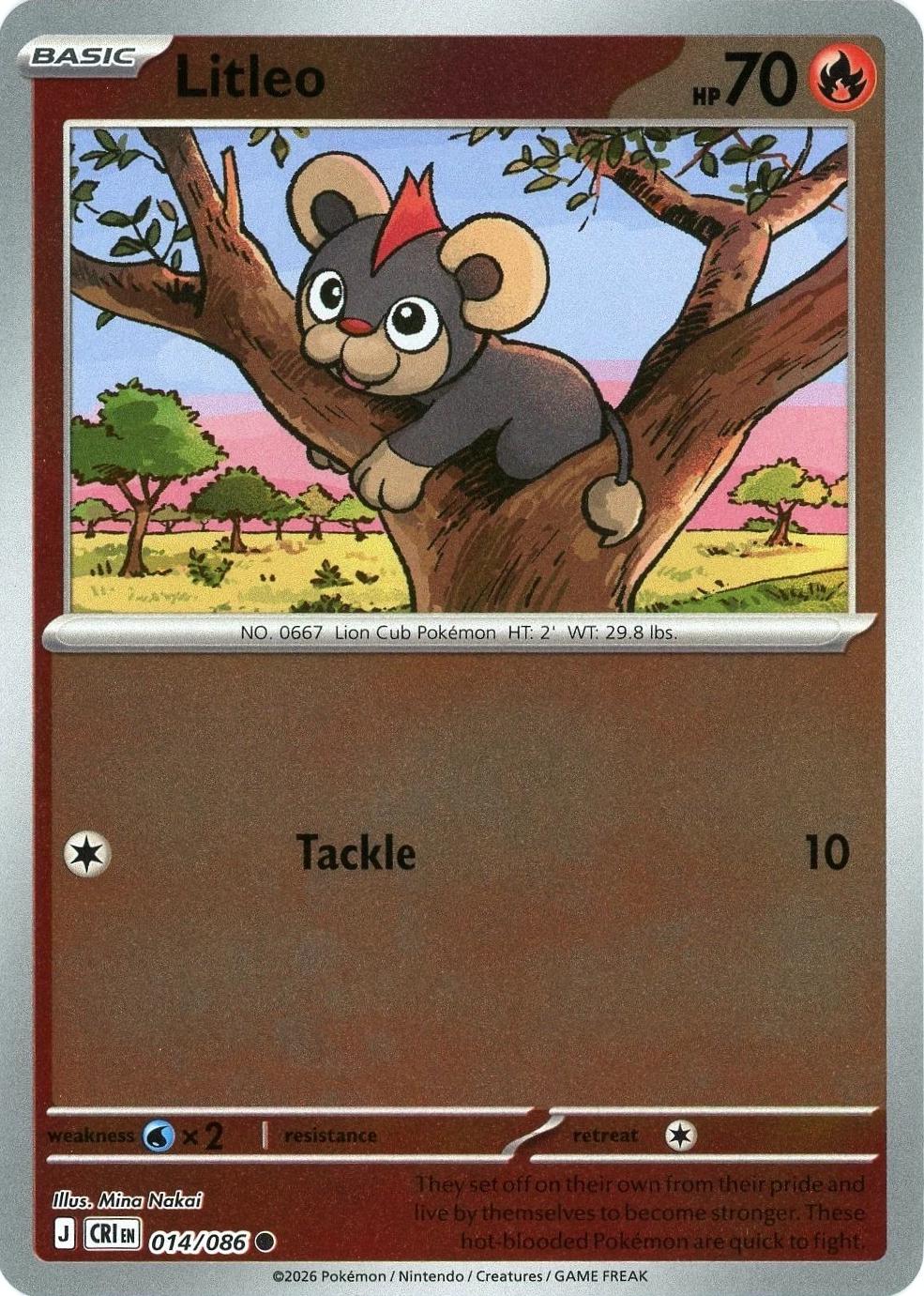 Litleo